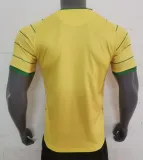 23/24 Nantes Commemorative Edition Fans 1:1 Quality  Soccer Jersey
