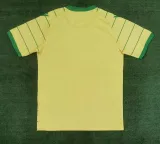23/24 Nantes Commemorative Edition Fans 1:1 Quality  Soccer Jersey