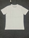 23/24 Napoli Champion Edition White Fans 1:1 Quality Soccer Jersey
