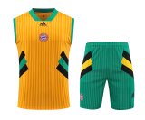 23/24 Bayern Munich Yellow 1:1 Quality Training Vest（A-Set）