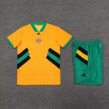 23/24 Bayern Munich Yellow 1:1 Quality Training Jersey（A-Set）