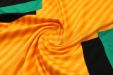 23/24 Bayern Munich Yellow 1:1 Quality Training Jersey（A-Set）