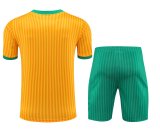 23/24 Bayern Munich Yellow 1:1 Quality Training Jersey（A-Set）