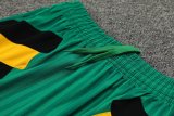23/24 Bayern Munich Yellow 1:1 Quality Training Vest（A-Set）