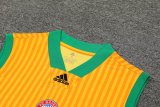 23/24 Bayern Munich Yellow 1:1 Quality Training Vest（A-Set）