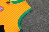 23/24 Bayern Munich Yellow 1:1 Quality Training Vest（A-Set）