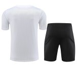 23/24 Juventus White 1:1 Quality Training Jersey（A-Set）