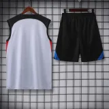 23/24 Barcelona Gray 1:1 Quality Training Vest（A-Set）