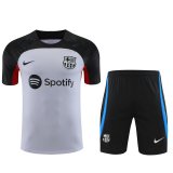 23/24 Barcelona Gray 1:1 Quality Training Jersey（A-Set）