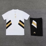 23/24 Juventus White 1:1 Quality Training Jersey（A-Set）