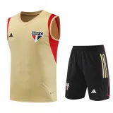 23/24 Sao Paulo Yellow 1:1 Quality Training Vest（A-Set）