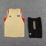 23/24 Sao Paulo Yellow 1:1 Quality Training Vest（A-Set）
