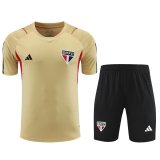23/24 Sao Paulo Yellow 1:1 Quality Training Jersey（A-Set）