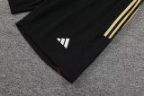 23/24 Sao Paulo Yellow 1:1 Quality Training Jersey（A-Set）