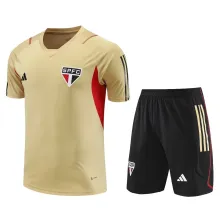 23/24 Sao Paulo Yellow 1:1 Quality Training Jersey（A-Set）