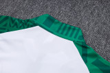23/24 Palmeiras White-Green Jacket Tracksuit 1:1 Quality