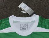 23/24 Celtic Home Green Fans 1:1 Quality Soccer Jersey
