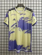 23/24 Tiger Fans 1:1 Quality Soccer Jersey