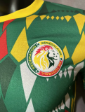 23/24 Senegal Away  Player 1:1 Quality Soccer Jersey