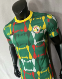 23/24 Senegal Away  Player 1:1 Quality Soccer Jersey