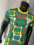 23/24 Senegal Away  Player 1:1 Quality Soccer Jersey