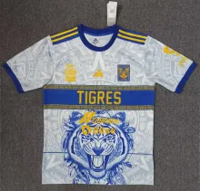 23/24 Tiger Special Edition Fans 1:1 Quality Soccer Jersey
