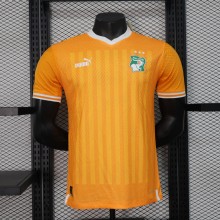 23/24 Cote d'Ivoire Home 3-Stars Player 1:1 Quality Soccer Jersey