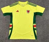 24/25 Wales Away  Fans 1:1 Quality Soccer Jersey