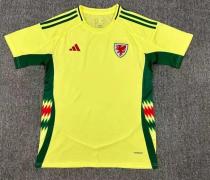24/25 Wales Away  Fans 1:1 Quality Soccer Jersey
