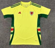 24/25 Wales Away  Fans 1:1 Quality Soccer Jersey