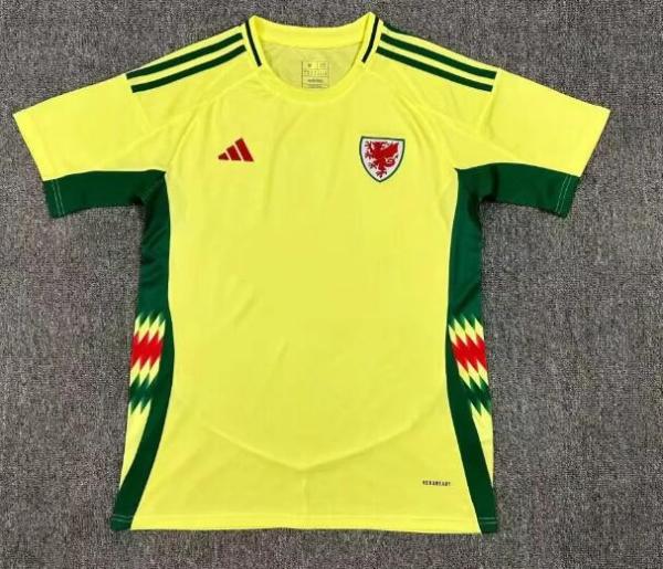 24/25 Wales Away  Fans 1:1 Quality Soccer Jersey