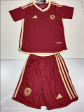 24/25 Venezuela Home Fans  Kids Quality Soccer Jersey