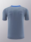24/25 Inter Milan Grey  1:1 Quality Training Jersey（A-Set）