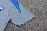 24/25 Inter Milan Grey  1:1 Quality Training Jersey（A-Set）