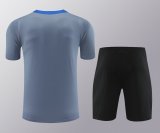 24/25 Inter Milan Grey  1:1 Quality Training Jersey（A-Set）