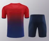 24/25 PSG Paris  Blue 1:1 Quality Training （A-Set）