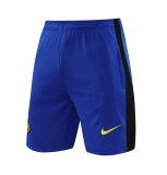 24/25 Inter Milan  Blue 1:1 Quality Training Vest（A-Set）