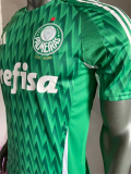 24/25 Palmeiras Green Player Special edition1:1 Quality Soccer Jersey