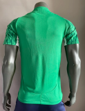 24/25 Palmeiras Green Player Special edition1:1 Quality Soccer Jersey