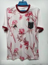 23/24 Japan  Special Edition  Fans 1:1 Quality Soccer Jersey