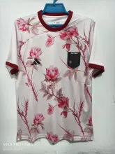 23/24 Japan  Special Edition  Fans 1:1 Quality Soccer Jersey