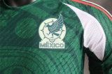 24/25 Mexico Green Special Edition Player 1:1 Quality Soccer Jersey