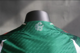 24/25 Mexico Green Special Edition Player 1:1 Quality Soccer Jersey