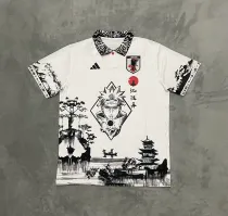 24/25 Japan Special Edition Fans 1:1 Quality Soccer Jersey