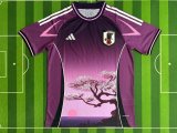 24/25 Japan Special Edition  Fans 1:1 Quality Soccer Jersey