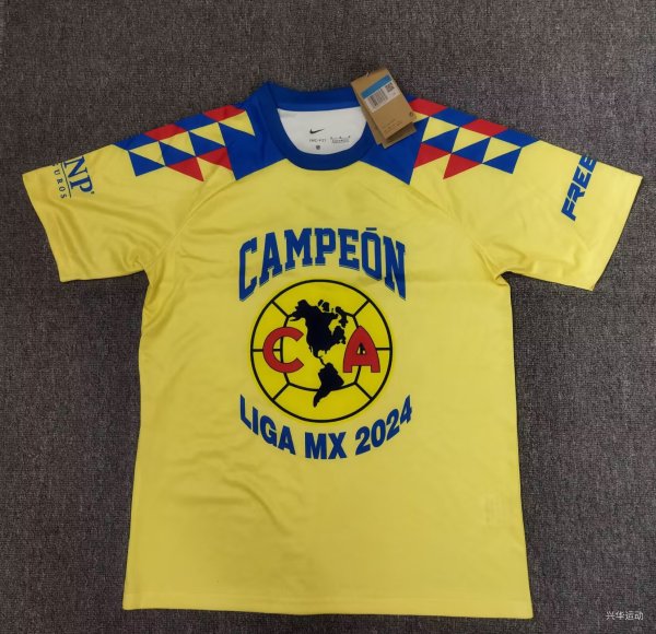 24/25 Team  America  Champion Edition  Yellow  Fans 1:1 Quality Soccer Jersey