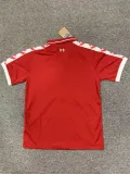 24/25 Liverpoo  Special  Edition  Red Fans 1:1 Quality Soccer Jersey