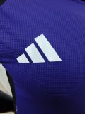 24/25 Germany  Training  Clothing  Purple  Player 1:1 Quality Soccer Jersey