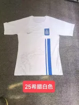 24/25  Greece  White  Home  Fans 1:1 Quality Soccer Jersey