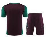 24/25    Mexico  Wine Red  And Green  1:1 Quality Training Jersey（A-Set）